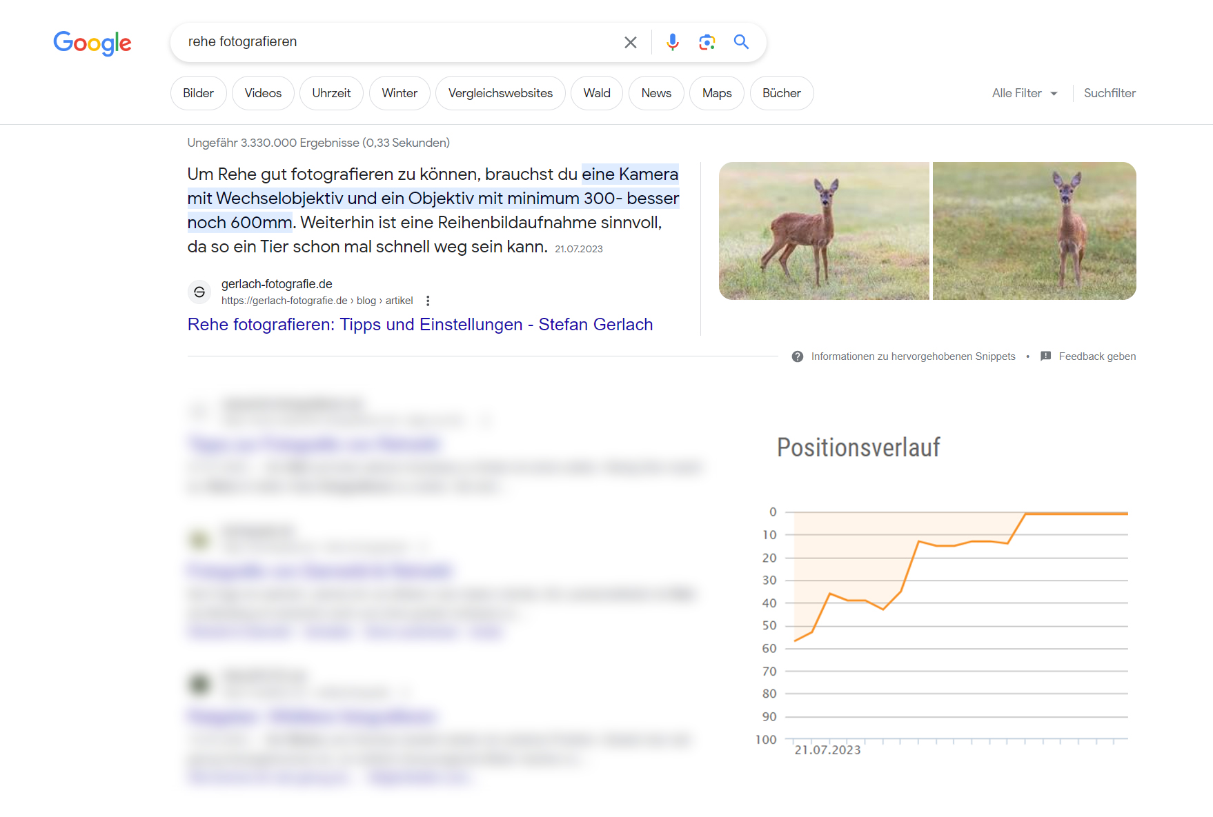 Google Screenshot Snippet Platz 1