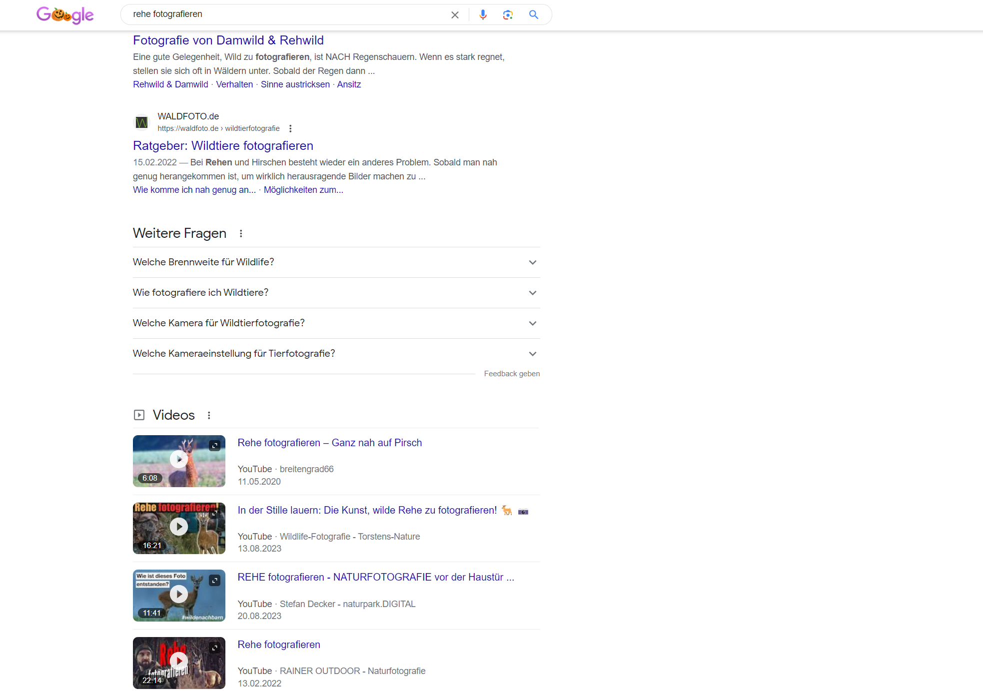 Google Screenshot Fragen