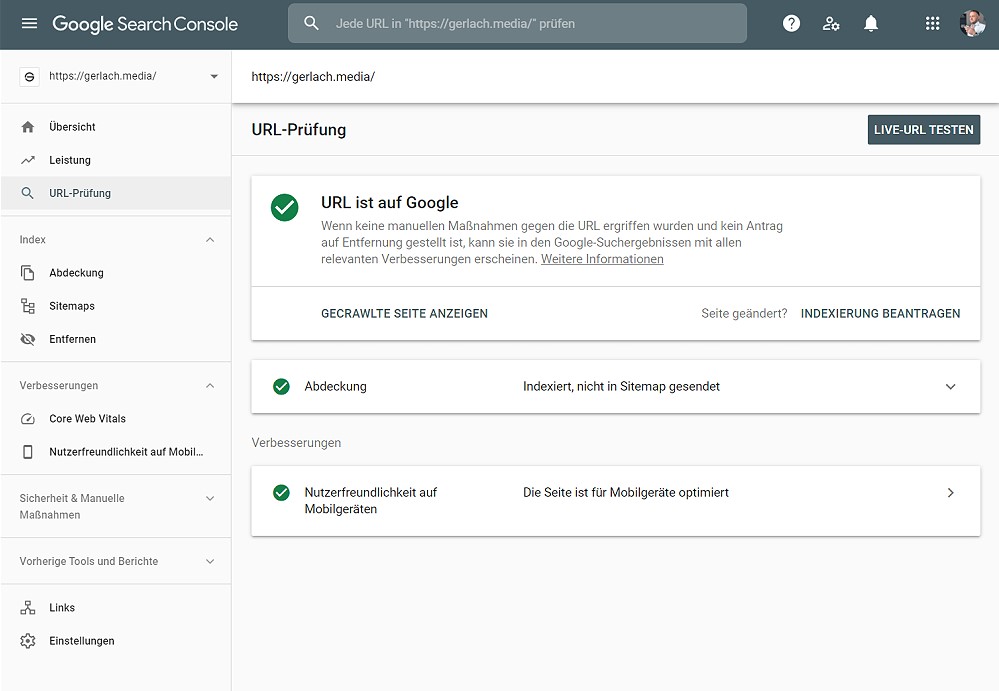 Google Search Console Screenshot
