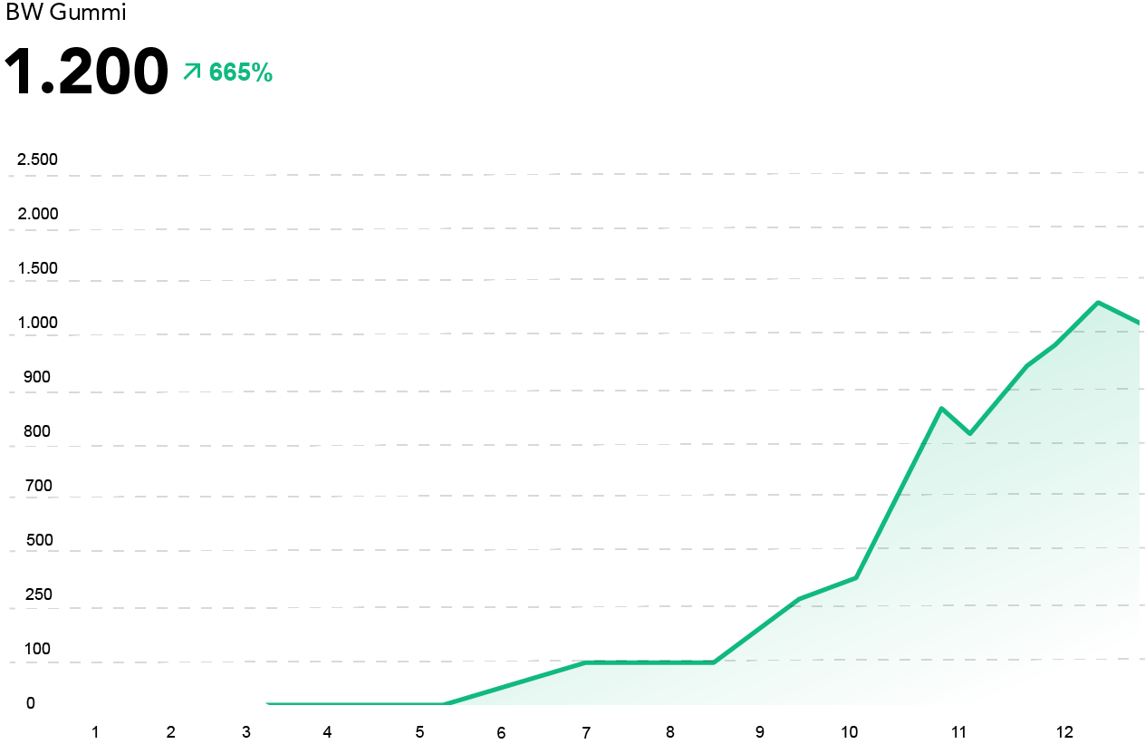 Gummi-Industrie SEO Fallstudie