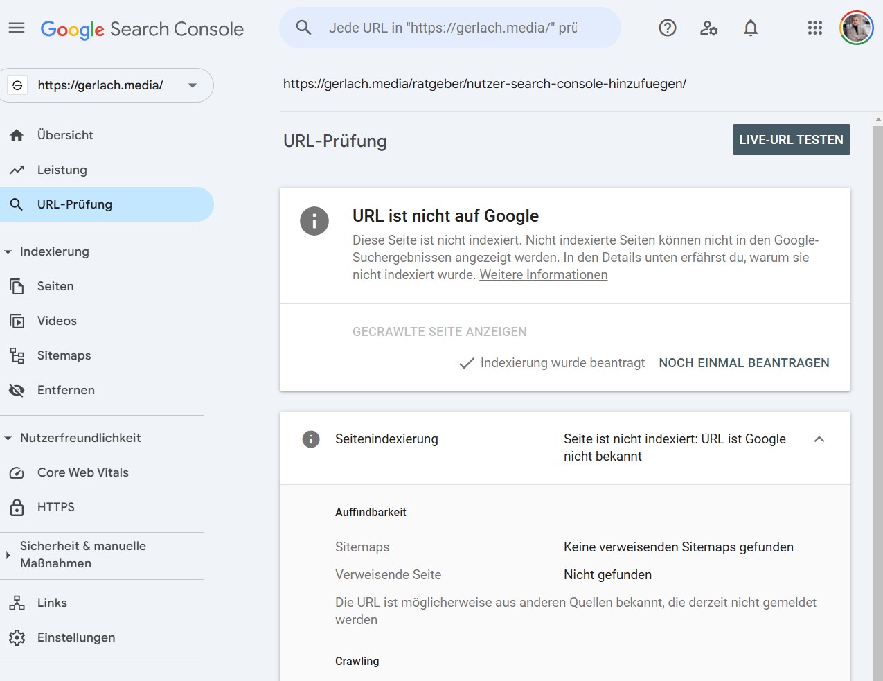 Website manuell bei Google anmelden